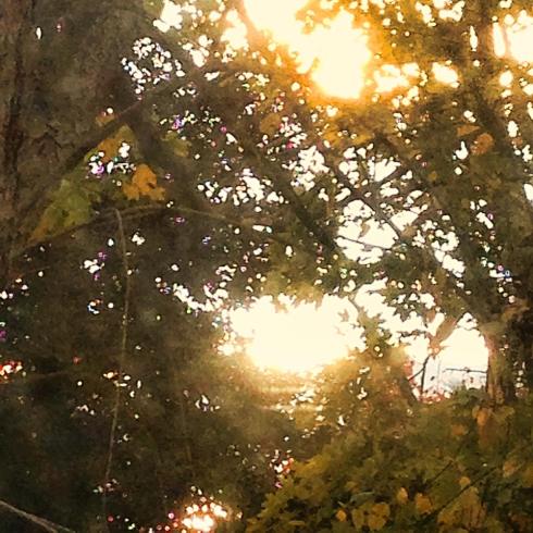 1509008_10201290290607147_755802712_n