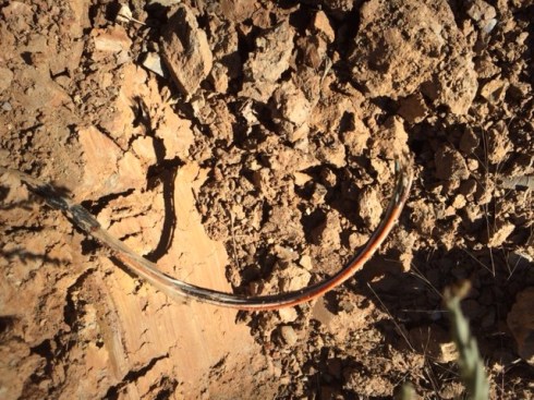 Photo Credit: Connie Gayer (Mrs. Russell)