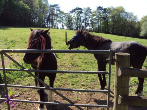 133-12-december-6th-2015