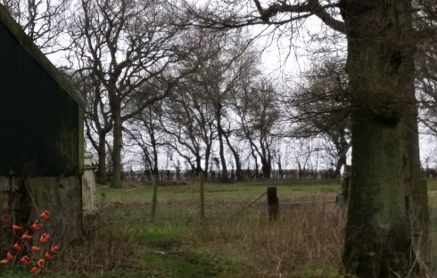 138-01-january-10th-2016