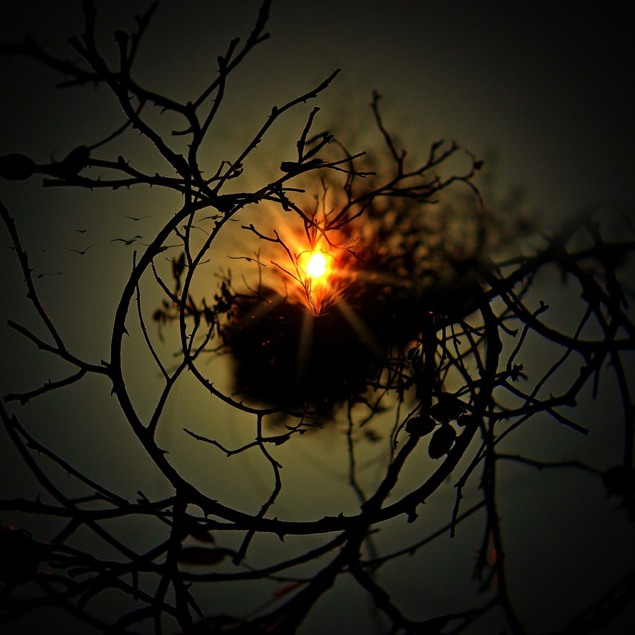 aesthetic-637857_1280