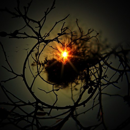 aesthetic-637857_1280