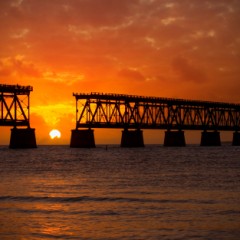 Disconnected-bridge-191999_240x240