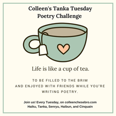 121817_1825_colleenstan9