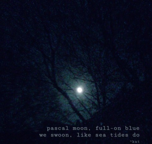 C25F5771-99A8-455F-98A7-98205D925282